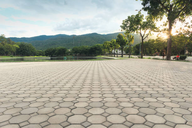Best Residential Paver Driveway  in Columbia City, IN